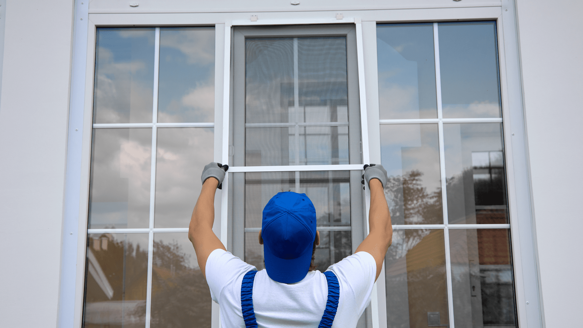 Window