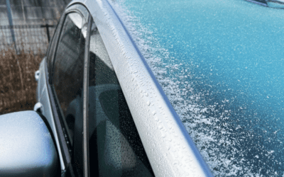 The Role of Energy-Efficient Glass in Window Replacement