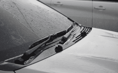 Why You Should Never Ignore a Cracked Windshield