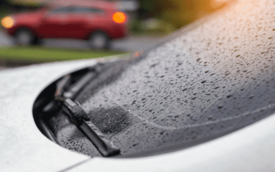 Why Window Replacement Is Essential for Your Home