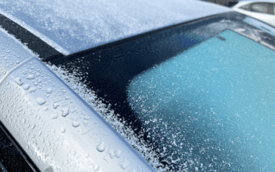 How to Choose Between Single and Double-Pane Glass for Window Replacement