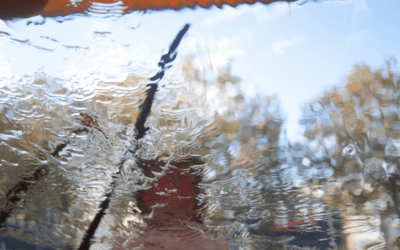 How to Keep Your Fleet of Vehicles Safe with Timely Windshield Replacements